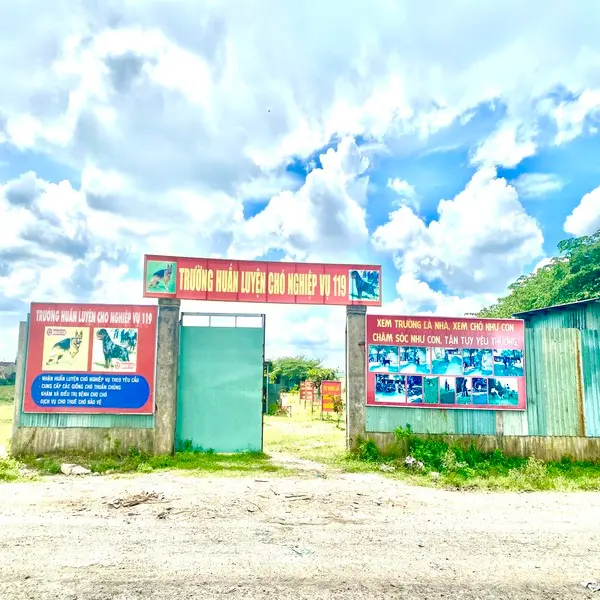 Dịch Vụ Lưu Trú Chó Dài Hạn