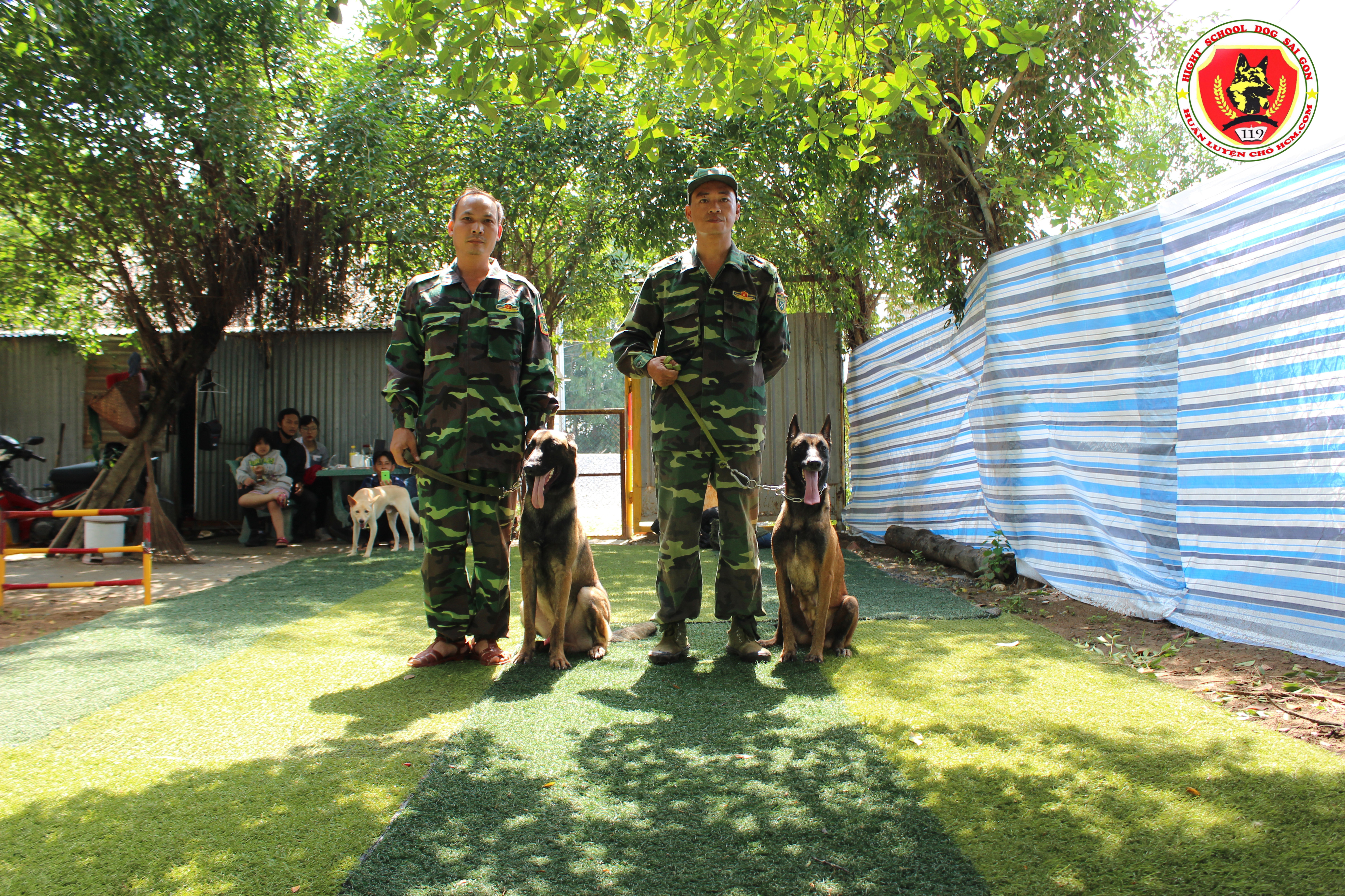 cách chăm sóc chó Malinois