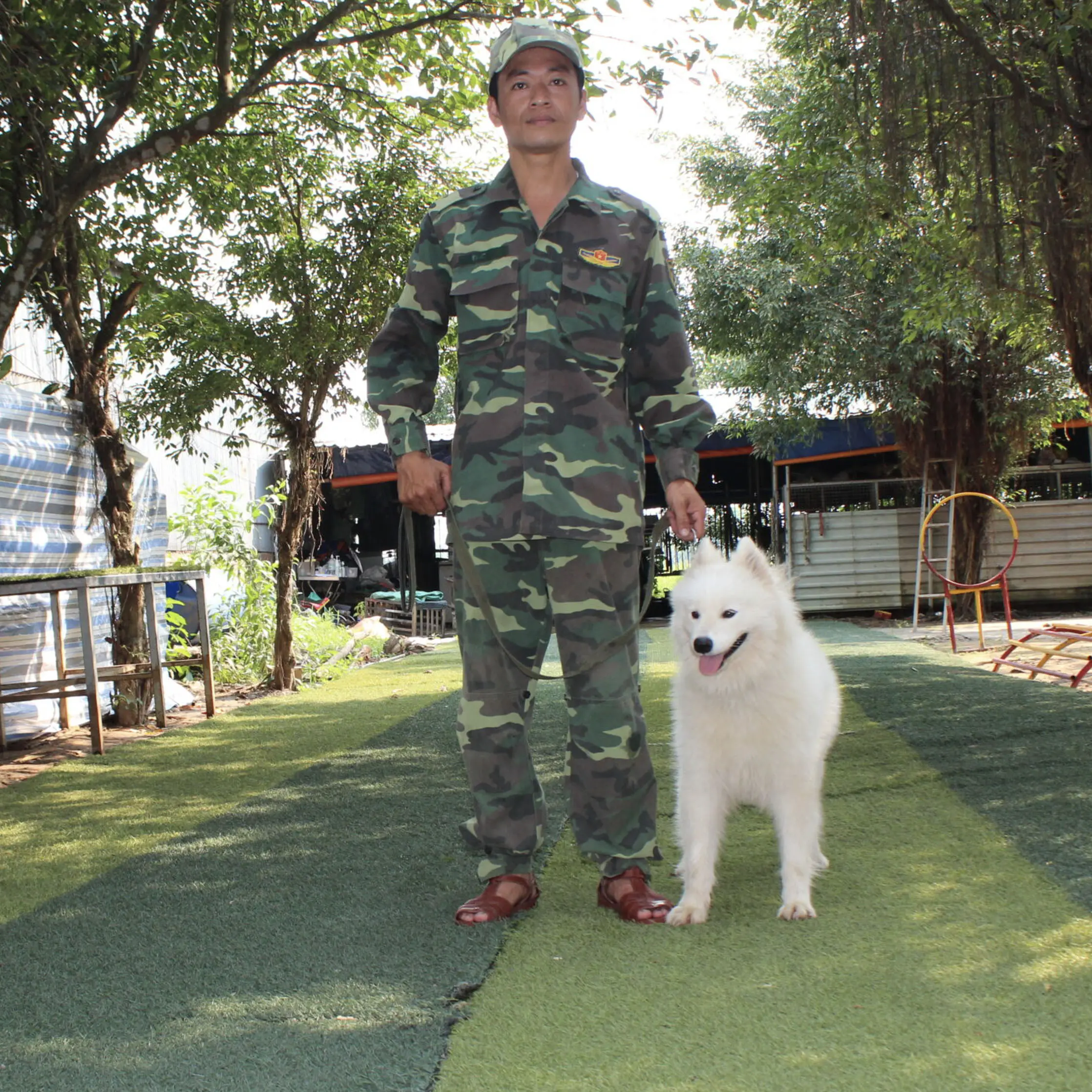 Huấn Luyện Chó Samoyed