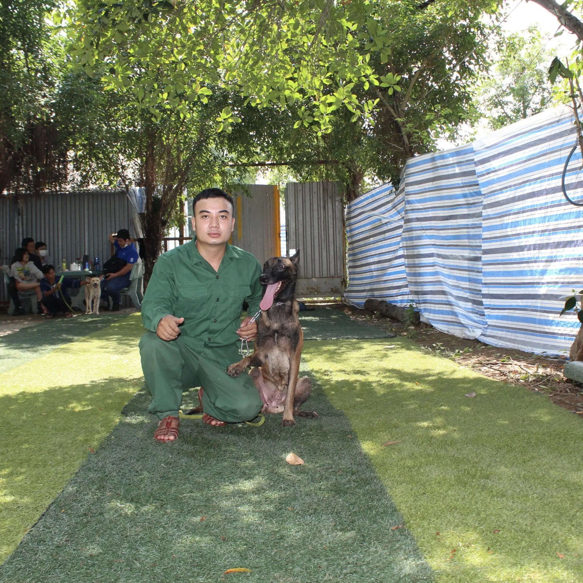 Huấn Luyện Chó Malinois